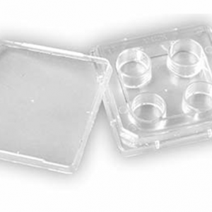 4-Well Dish